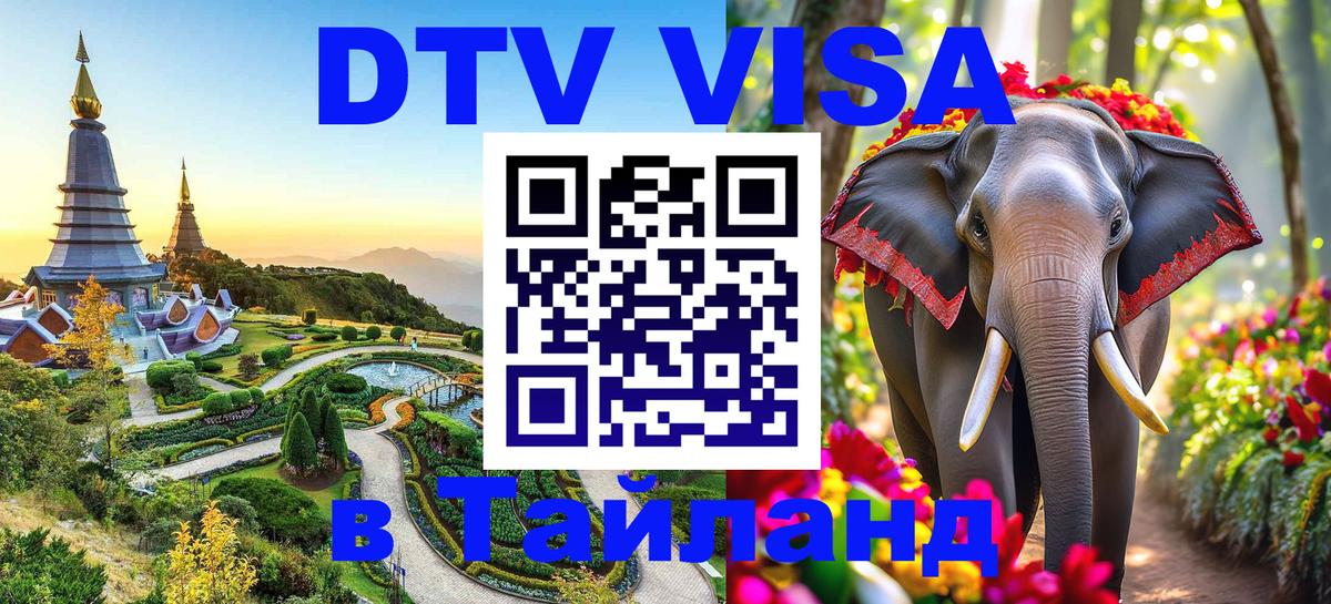 Сколько стоит DTV виза — актуальные цены, оформление даже без документов - Ереван  10.01.2026 